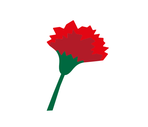 Гвоздика Гвоздика